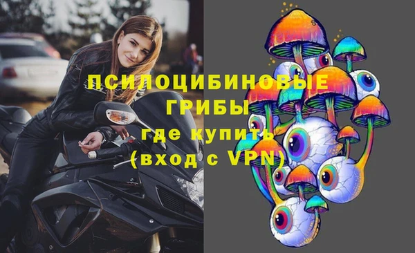 меф Богородицк