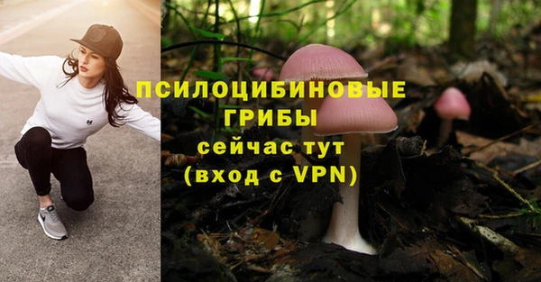 меф Богородицк