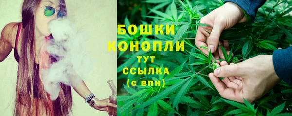 a pvp Богданович
